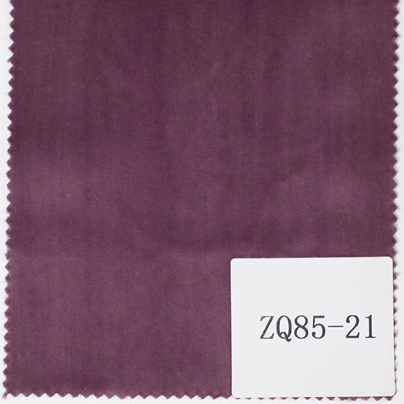 ZQ85-21